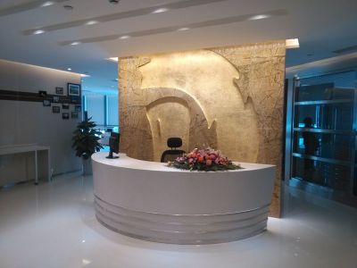 四川省大東 · 新惠投資有限責(zé)任公司